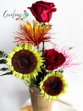 Dry sunflower season