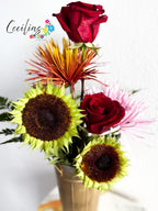 Dry sunflower season
