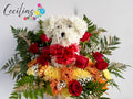 YOUR FAVORITE ANIMAL  OF FLOWERS